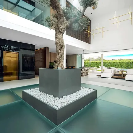 Oasis