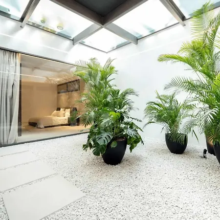 Oasis *